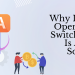 Why investing in OpenCart auto switch language is a smart solution