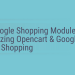 OpenCart Google Shopping Module- For synchronizing opencart & google shopping